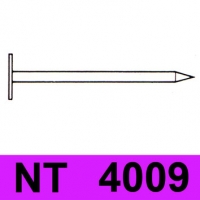 NT 4009