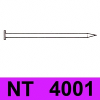 NT 4001