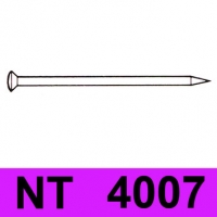 NT 4007