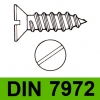 DIN 7972