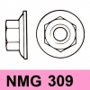 NMG 309