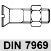 DIN 7969