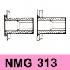 NMG 313