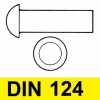 DIN 124