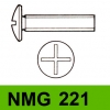 NMG 221