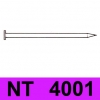 NT 4001