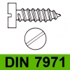 DIN 7971