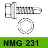 NMG 231